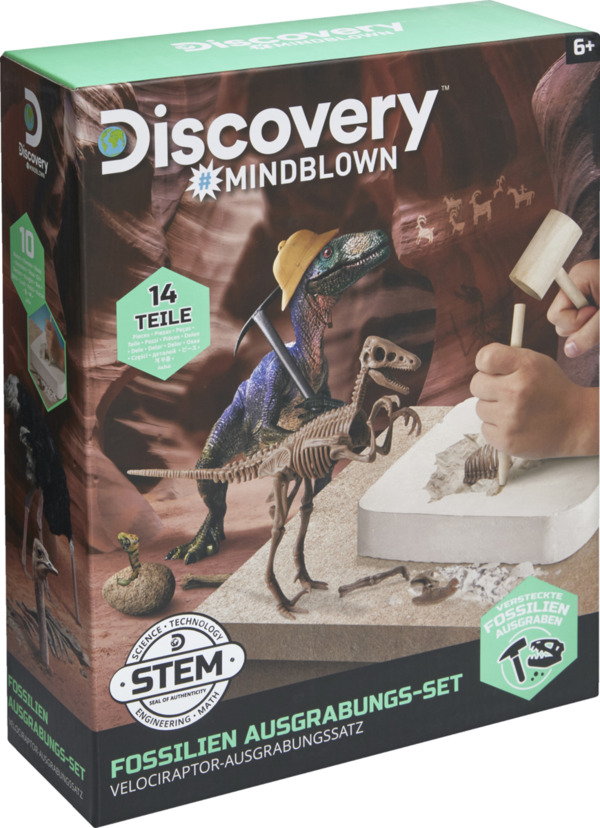 Bild 2 von IDEENWELT Entdecker-Set Fossilien