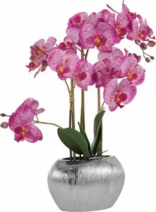 Kunstpflanze Orchidee, Home affaire, Höhe 55 cm, Kunstorchidee, im Topf, Lila