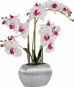 Kunstpflanze Orchidee, Home affaire, Höhe 55 cm, Kunstorchidee, im Topf, Weiß