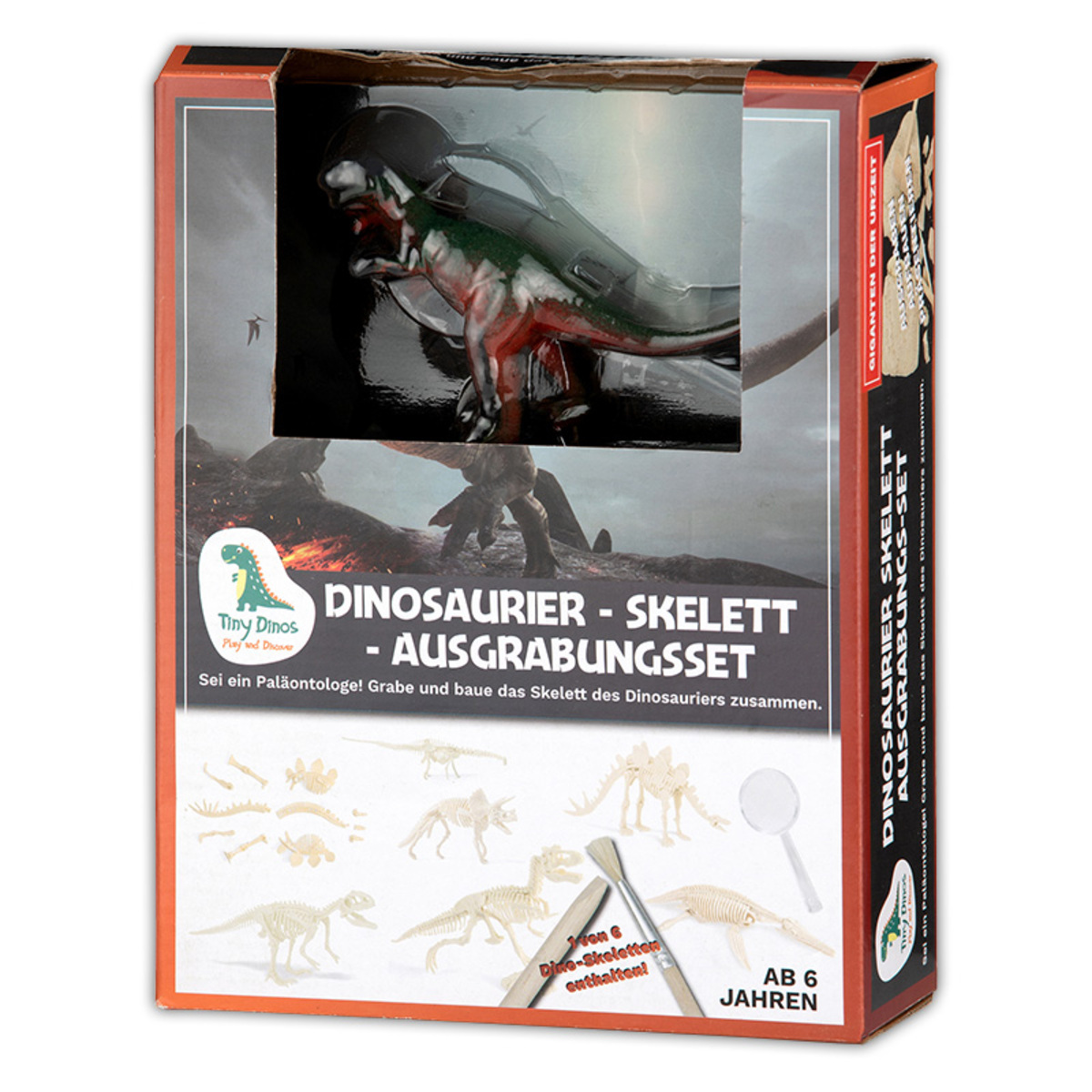 Bild 1 von Tiny Dinos Ausgrabungs-Komplett-Set