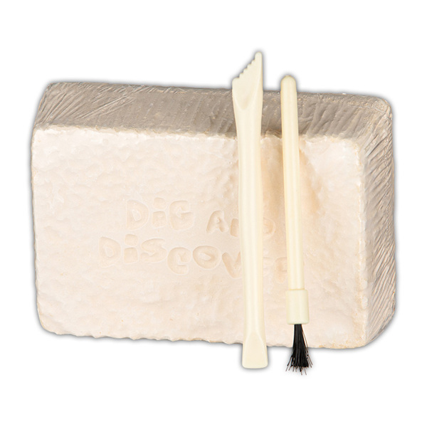 Bild 2 von Tiny Dinos Dinosaurier-Ausgrabungs-Set