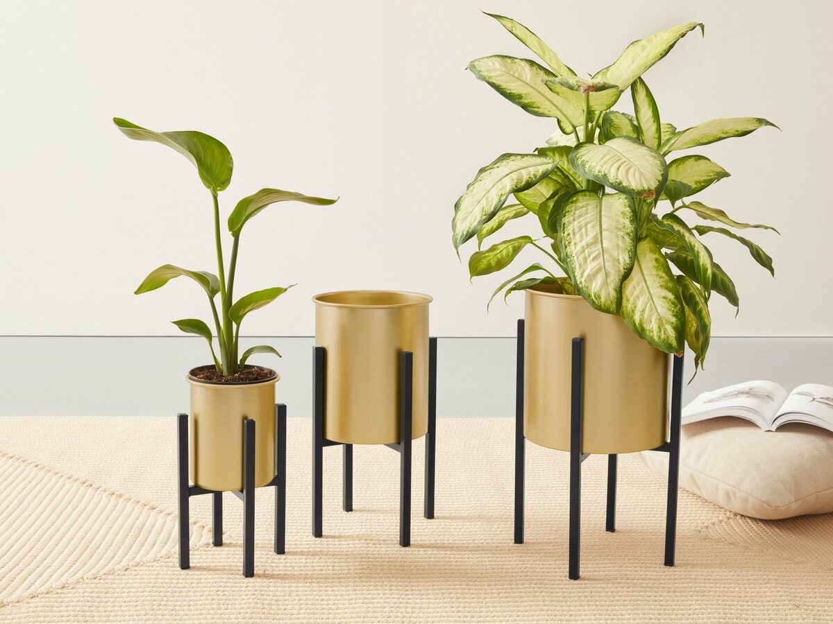 Bild 1 von Leonique Übertopf (Set, 3 St), aus Metall, gold, Goldfarben|schwarz