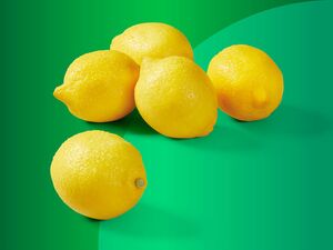 Bio Zitronen, 
         500 g