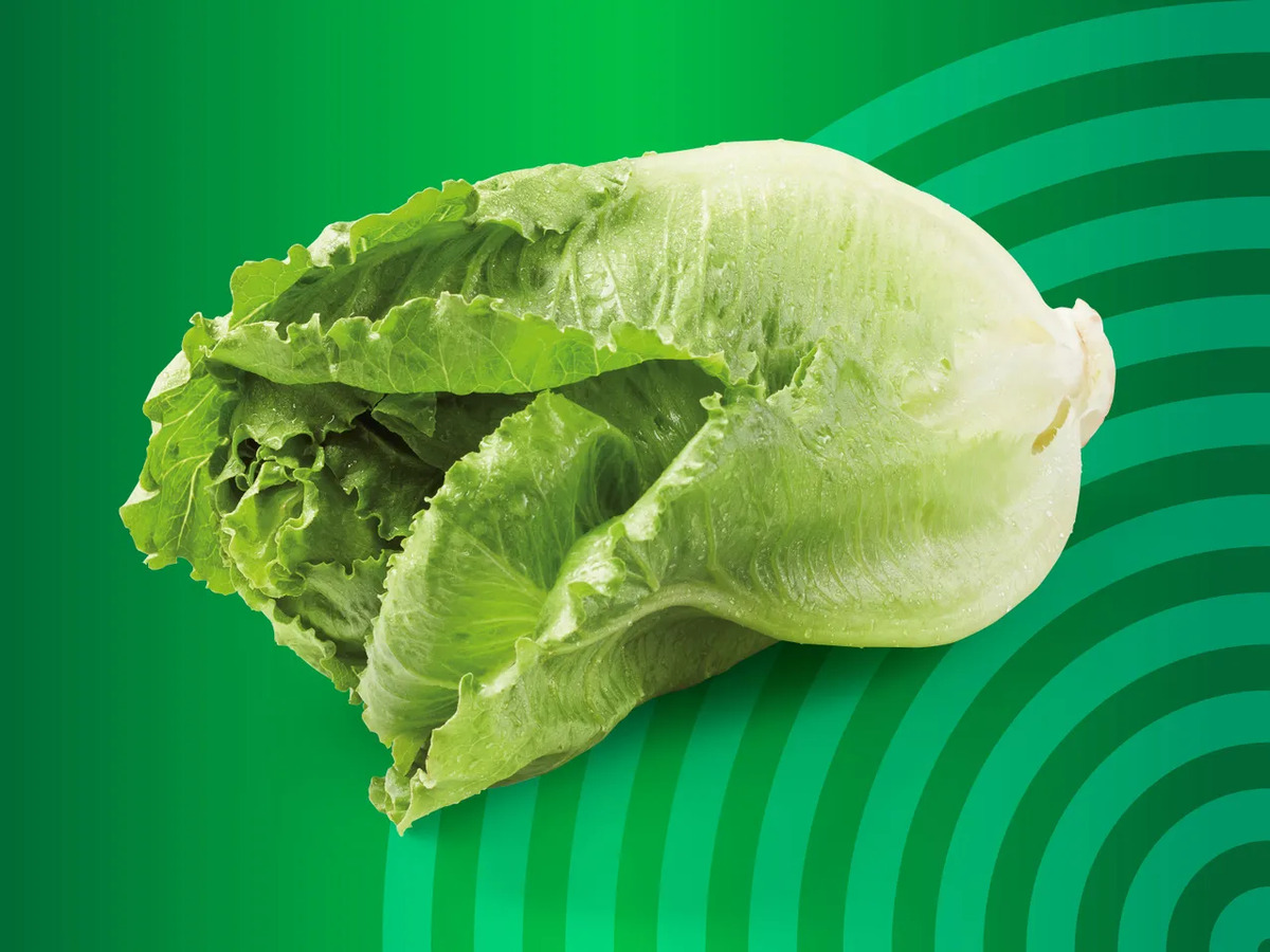 Bild 1 von Romana Salat, 
         Stück