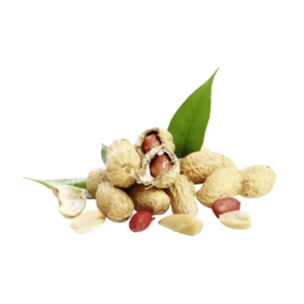 Bild 1 von USA
Erdnüsse
