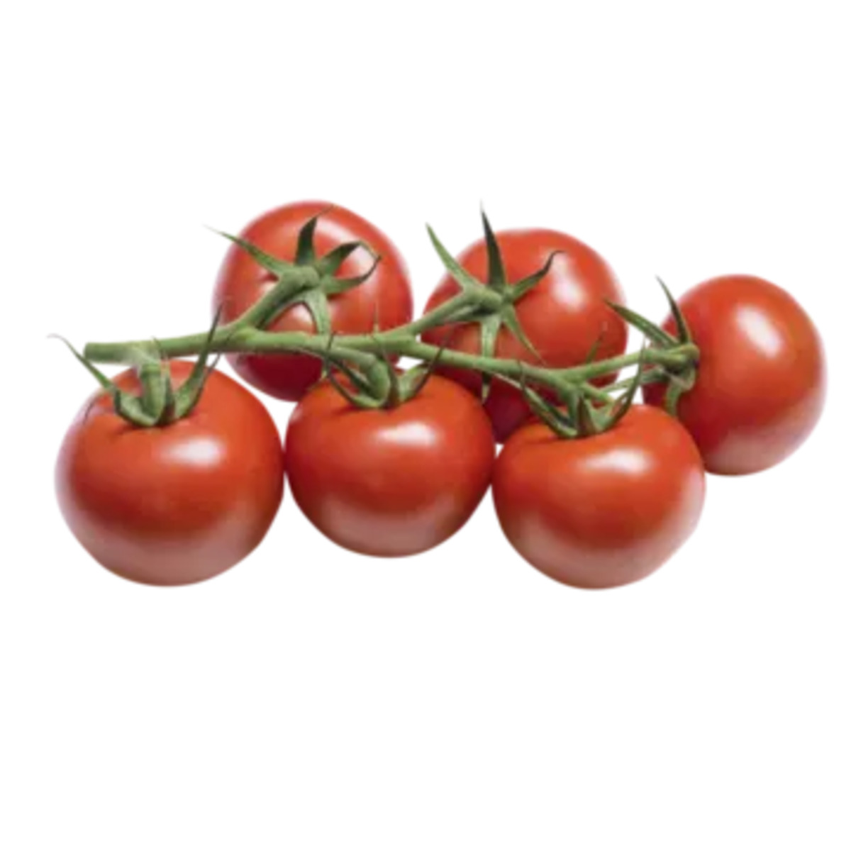 Bild 1 von Niederlande
Joyn Strauchtomaten