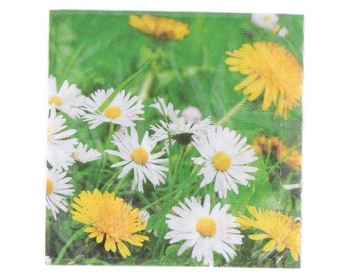 Bild 1 von Servietten 20er 25x25cm Mageriten