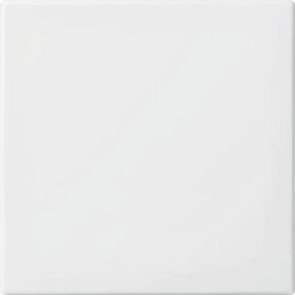 Bild 1 von Busch-Jaeger Universalwippe Busch-balance® SI, alpinweiß, 2506-914