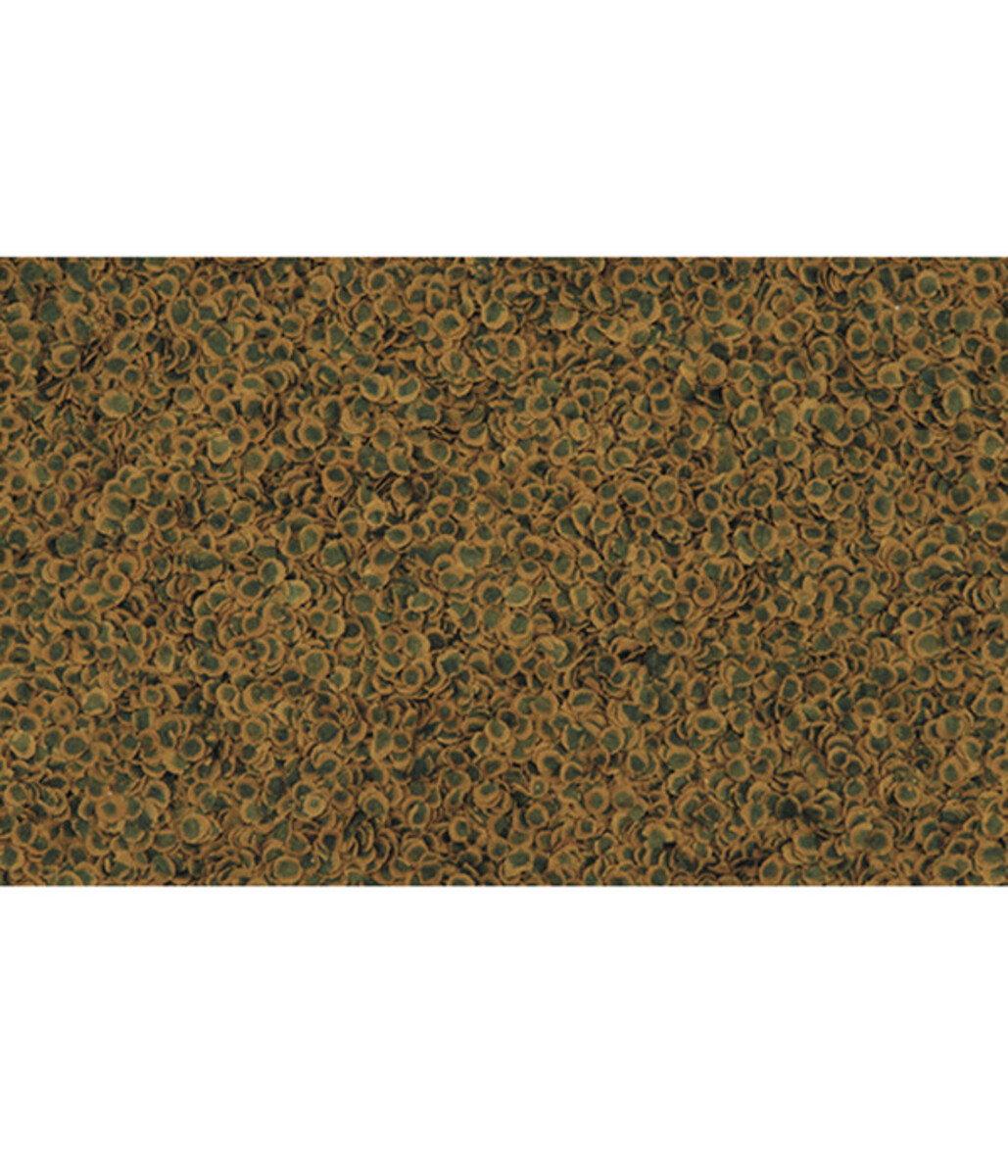 Bild 2 von Tetra Fischfutter TetraPro Algae Multi-Crisps