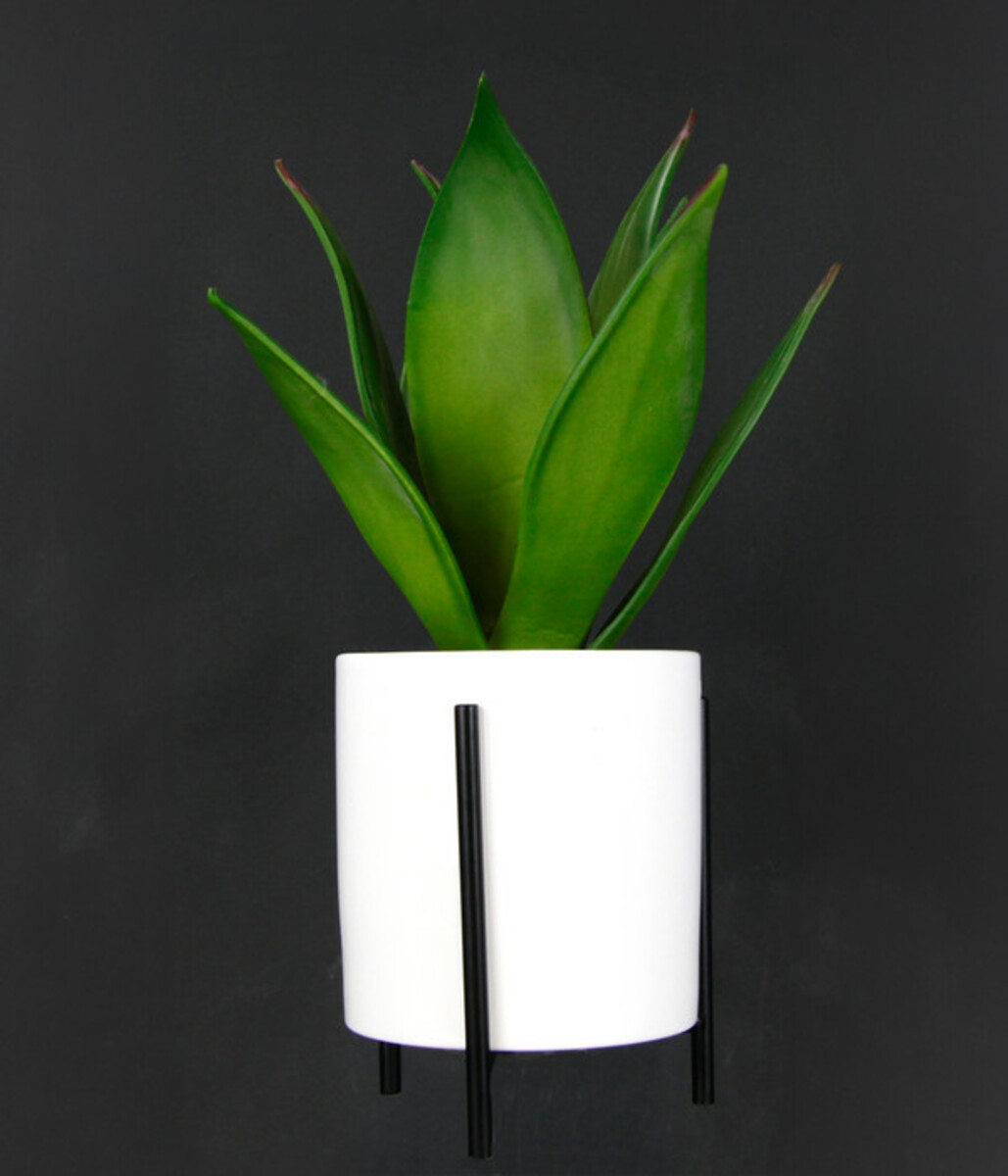 Bild 4 von I.GE.A Kunstpflanze Sukkulente im Keramiktopf mit Gestell, ca. H29 cm