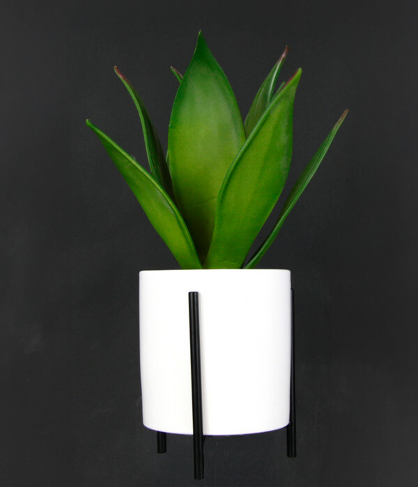 Bild 4 von I.GE.A Kunstpflanze Sukkulente im Keramiktopf mit Gestell, ca. H29 cm