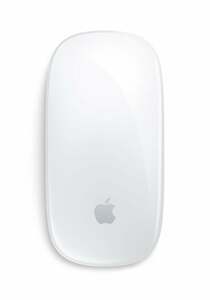 Magic Mouse Silber Maus