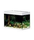 Bild 3 von Oase Aquarium StyleLine 175