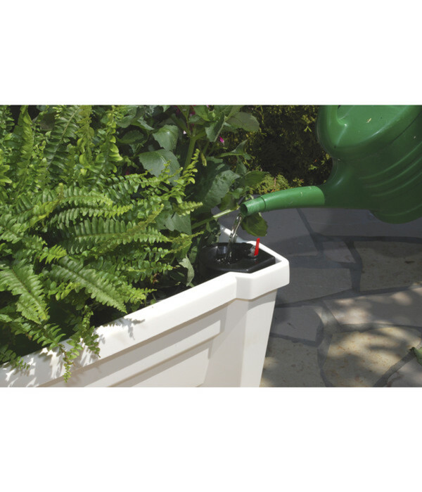 Bild 3 von KHW Kunststoff-Pflanzkasten Calypso, inkl. Spalier und Rollen