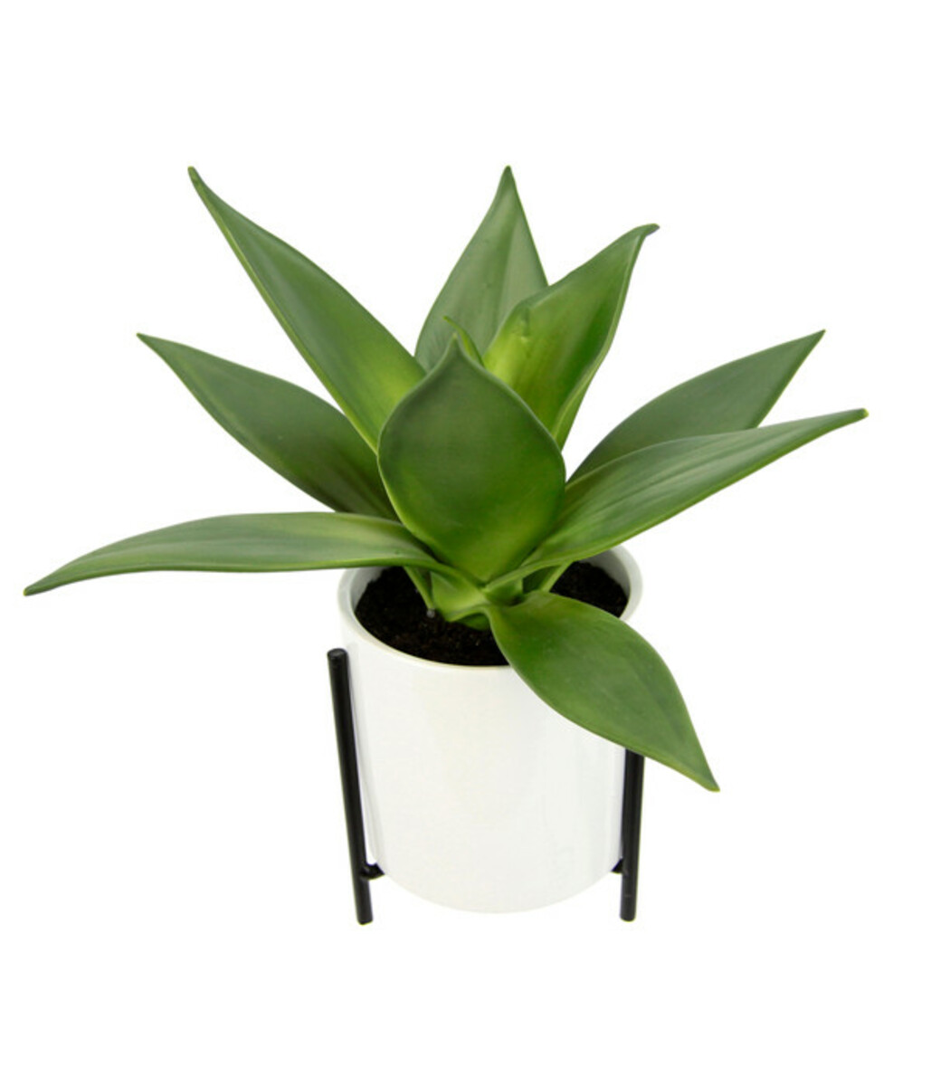 Bild 1 von I.GE.A Kunstpflanze Sukkulente im Keramiktopf mit Gestell, ca. H29 cm