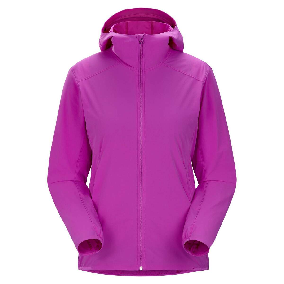 Bild 1 von Arc'teryx
              
                 GAMMA LIGHTWEIGHT HOODY WOMENS Damen - Softshelljacke
