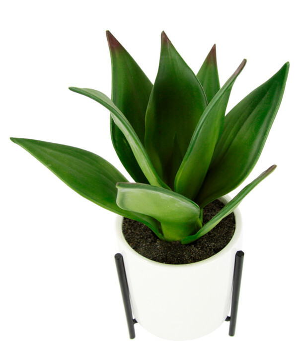 Bild 2 von I.GE.A Kunstpflanze Sukkulente im Keramiktopf mit Gestell, ca. H29 cm