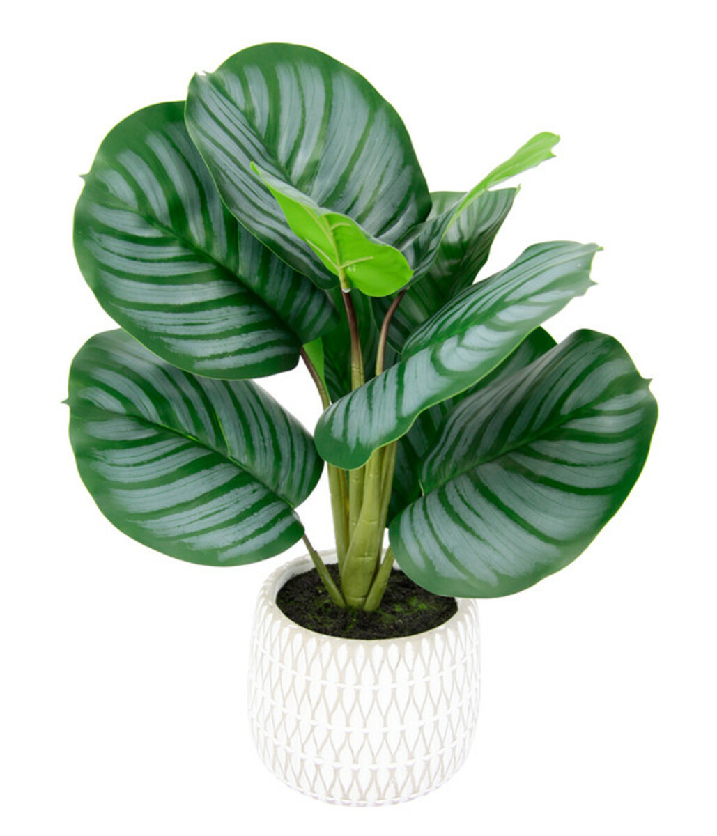 Bild 1 von I.GE.A Kunstpflanze Korbmaranthe im Keramiktopf, ca. H43 cm