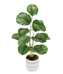 I.GE.A Kunstpflanze Korbmaranthe im Keramiktopf, ca. H60 cm