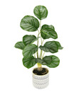 Bild 1 von I.GE.A Kunstpflanze Korbmaranthe im Keramiktopf, ca. H60 cm