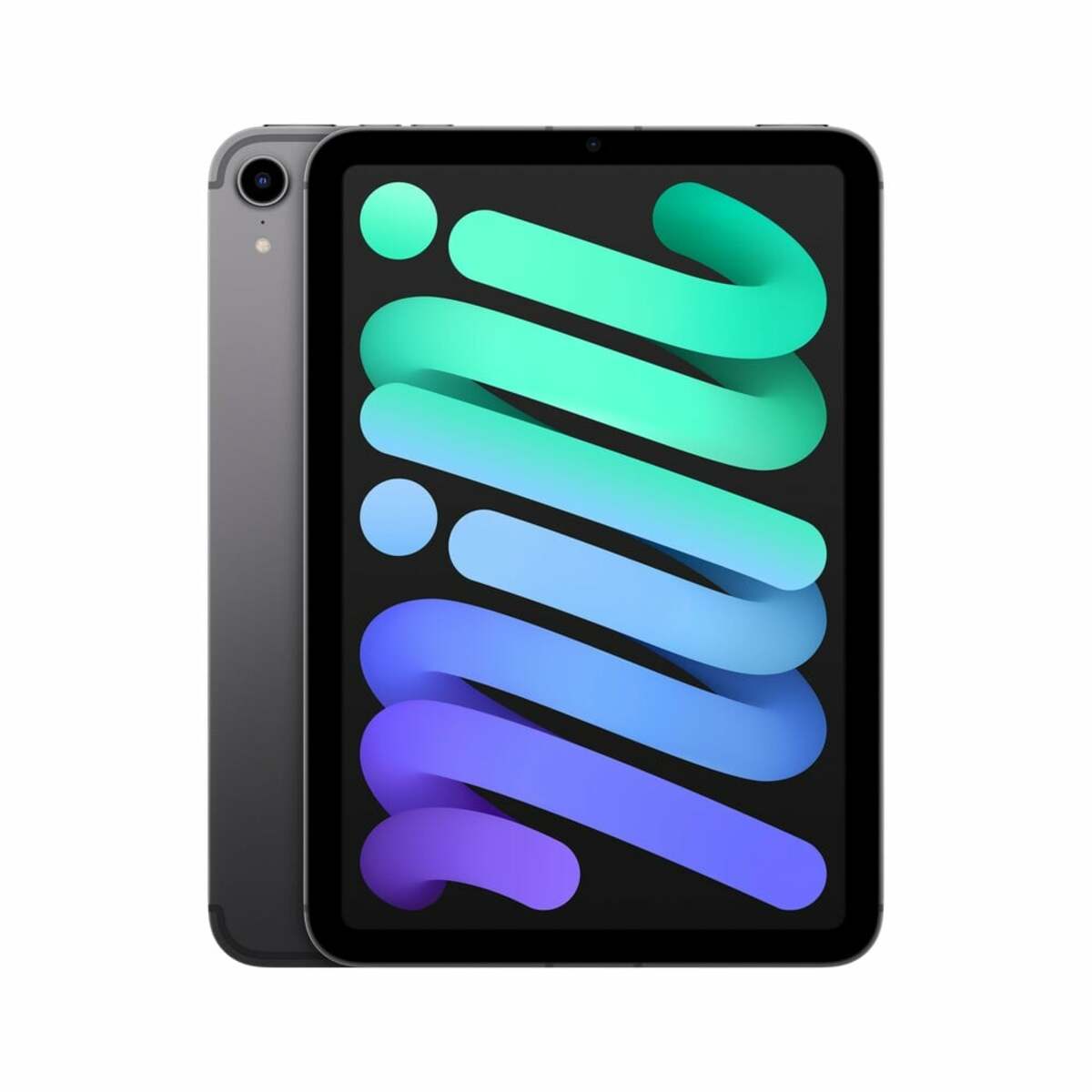 Bild 1 von iPad mini Cellular 64 GB Space Grau - 0%-Finanzierung (PayPal)