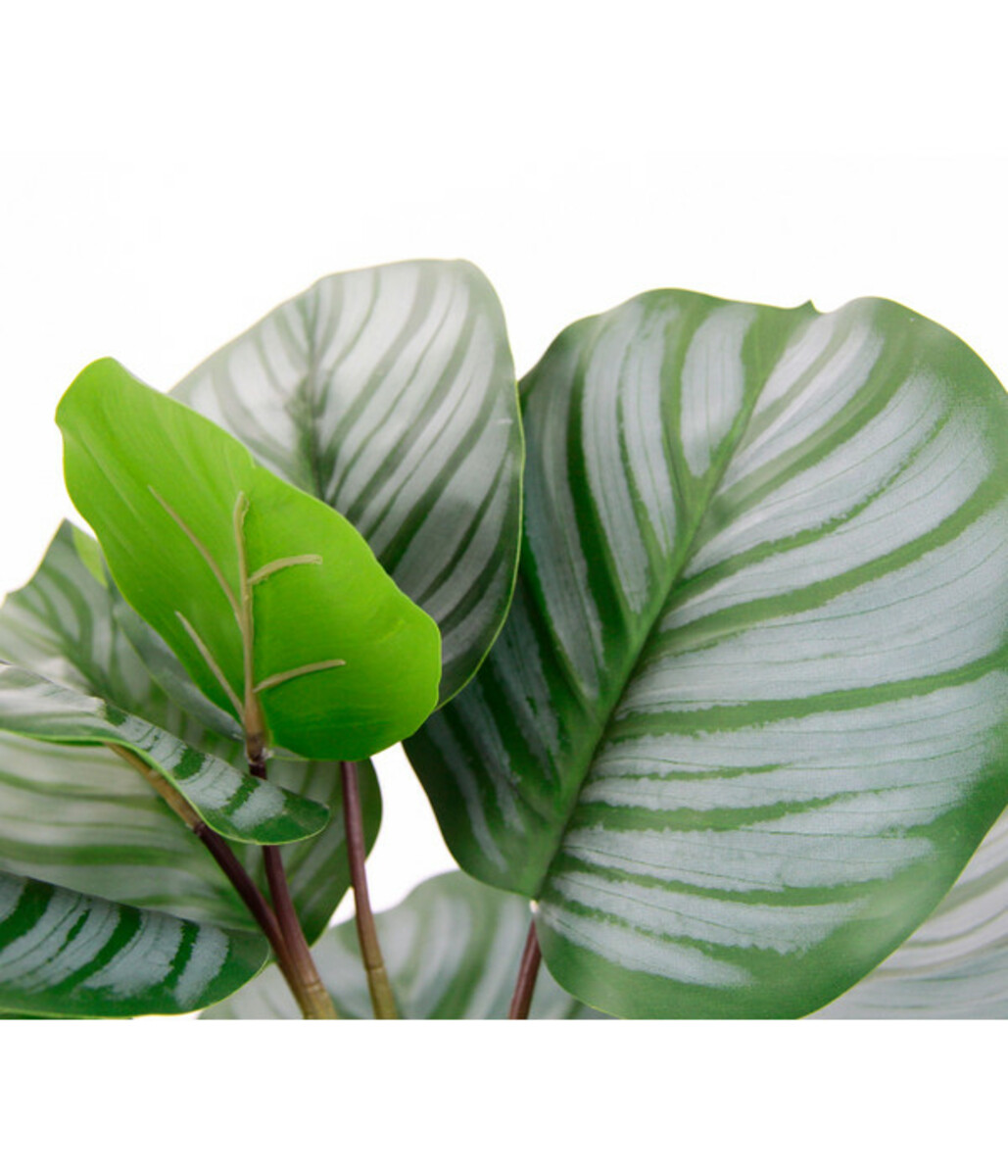 Bild 2 von I.GE.A Kunstpflanze Korbmaranthe im Keramiktopf, ca. H43 cm