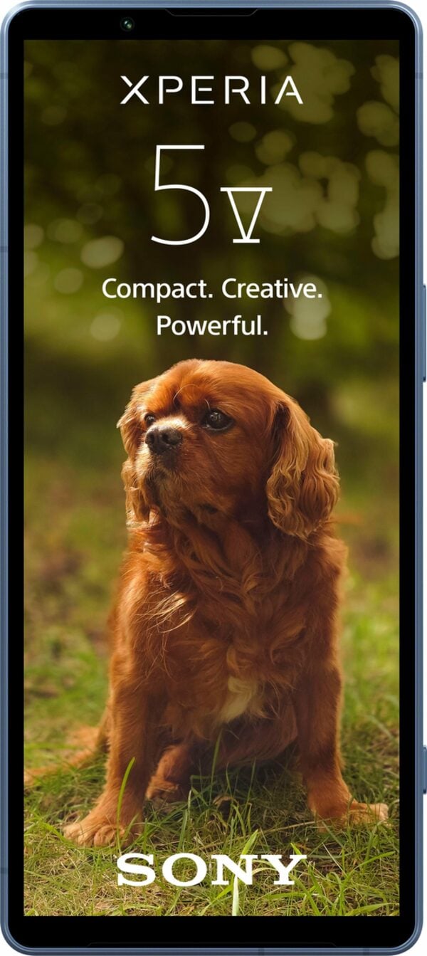 Bild 2 von Sony XPERIA 5V Smartphone (15,49 cm/6,1 Zoll, 128 GB Speicherplatz, 12 MP Kamera)