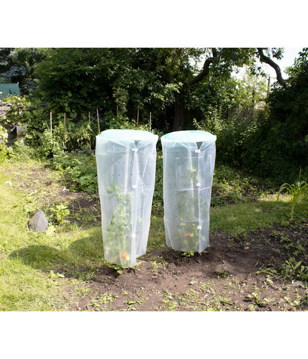 Bild 2 von KHW Tomatenhut