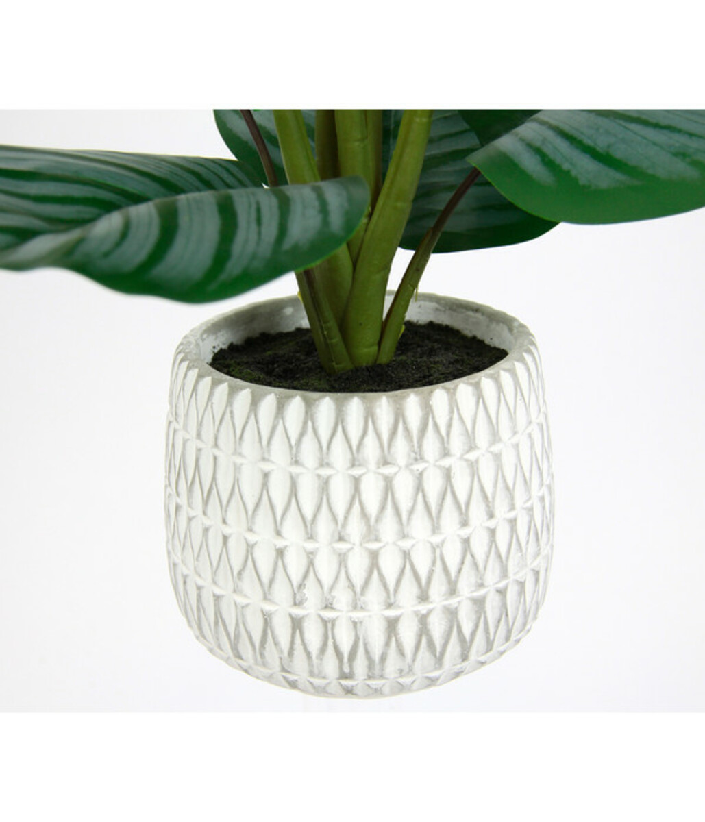 Bild 3 von I.GE.A Kunstpflanze Korbmaranthe im Keramiktopf, ca. H43 cm