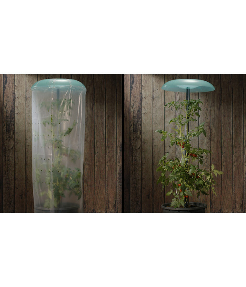 Bild 3 von KHW Tomatenhut