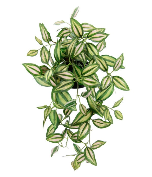 Bild 1 von I.GE.A Kunstpflanze Dreimasterblume Tradeskantia Zebrina im Kunststofftopf, ca. H23 cm