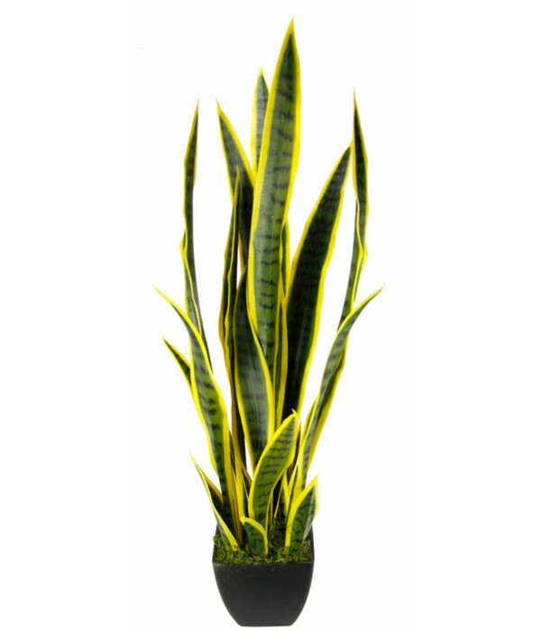 Bild 1 von I.GE.A Kunstpflanze Sansevieria im Kunststofftopf, ca. H85 cm