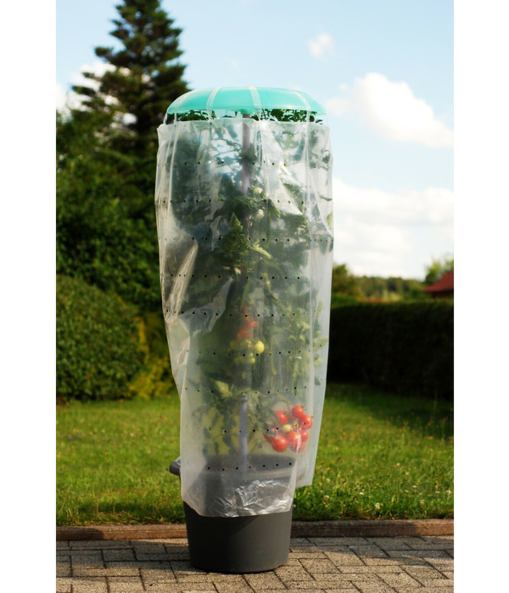 Bild 1 von KHW Tomatenhut