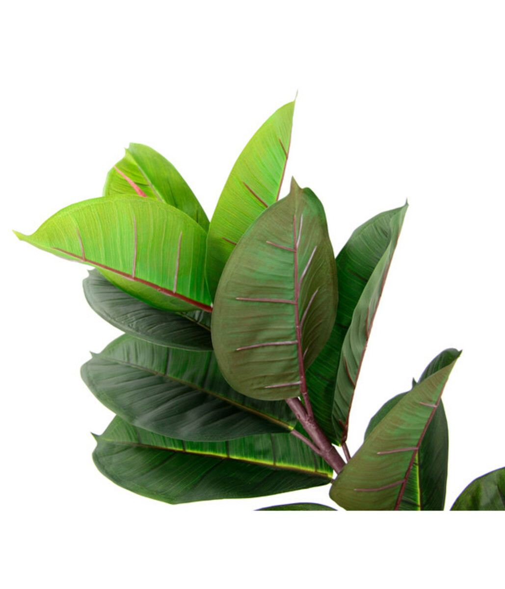 Bild 4 von I.GE.A Kunstpflanze Gummibaum im Wasserhyazinthentopf, ca. H84 cm