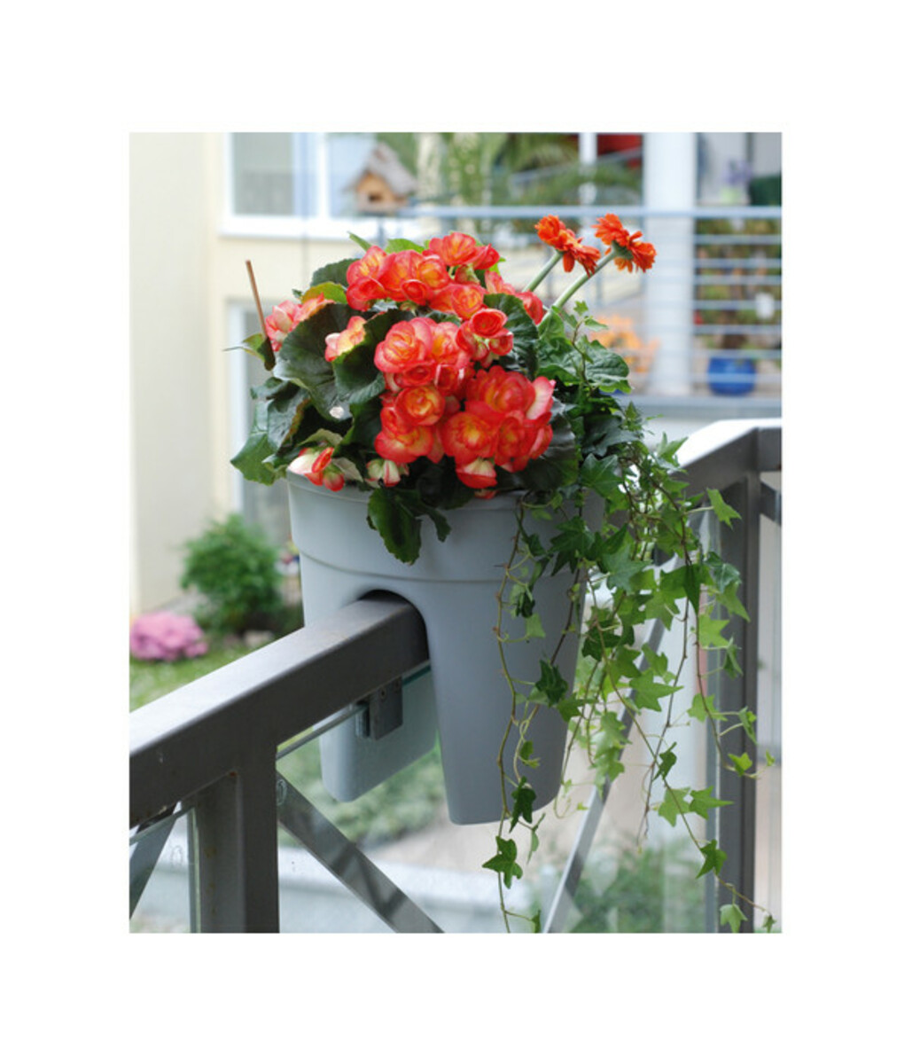 Bild 2 von KHW Kunststoff-Geländertopf, 3-teilig, Ø 27 x 27,5 cm