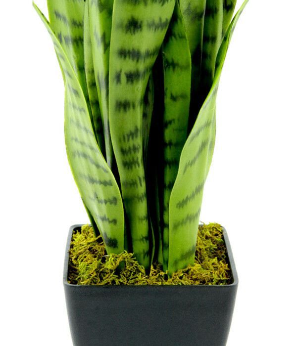 Bild 2 von I.GE.A Kunstpflanze Sansevieria im Kunststofftopf, ca. H75 cm