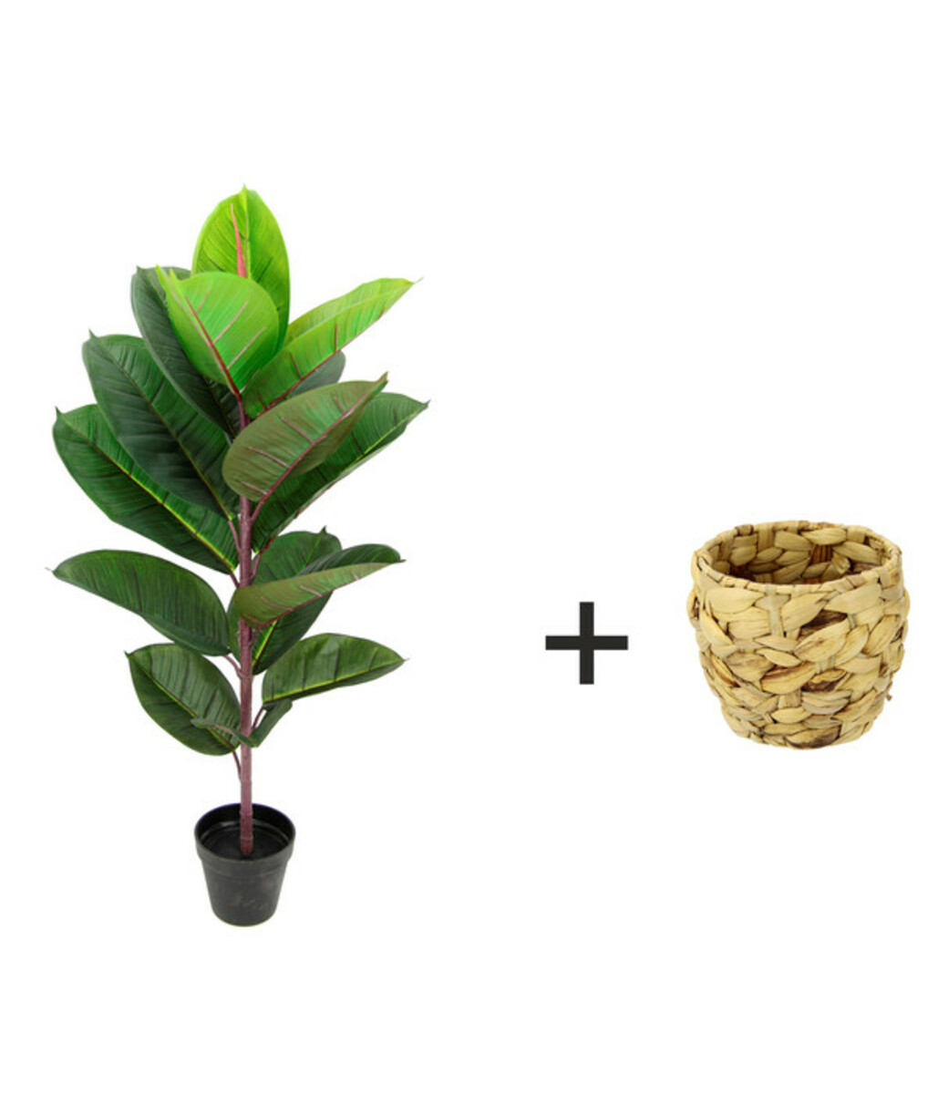 Bild 2 von I.GE.A Kunstpflanze Gummibaum im Wasserhyazinthentopf, ca. H84 cm