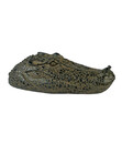 Bild 1 von Ubbink Schwimmender Polyresin-Wasserspeier Krokodil, ca. B34/H10/T16 cm