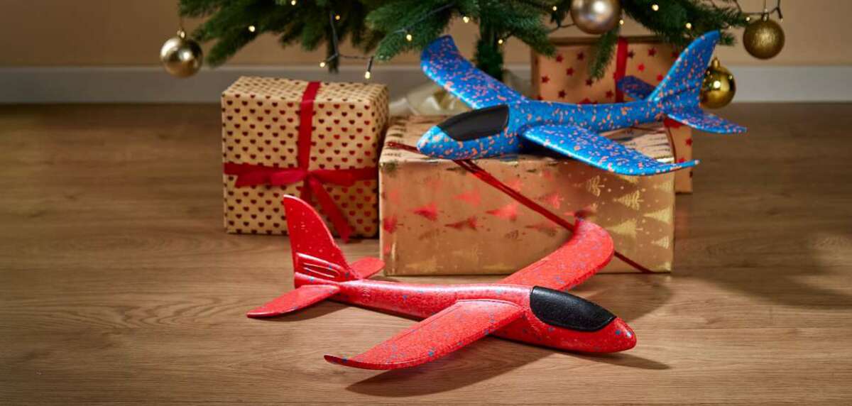 Bild 1 von Segelflugzeug