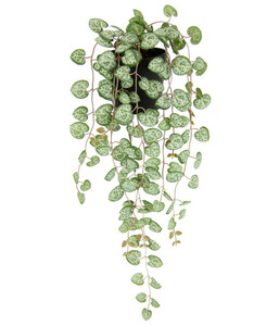 I.GE.A Kunstpflanze Leuchterblume im Kunststofftopf, ca. H23 cm