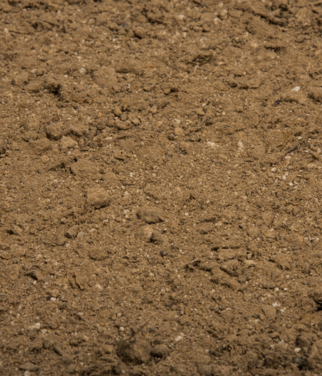 Bild 3 von COMPO BIO Naturdünger mit Guano