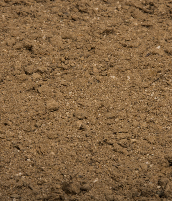 Bild 3 von COMPO BIO Naturdünger mit Guano