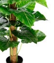 Bild 3 von I.GE.A Kunstpflanze Philodendron im Kunststofftopf, ca. H85 cm