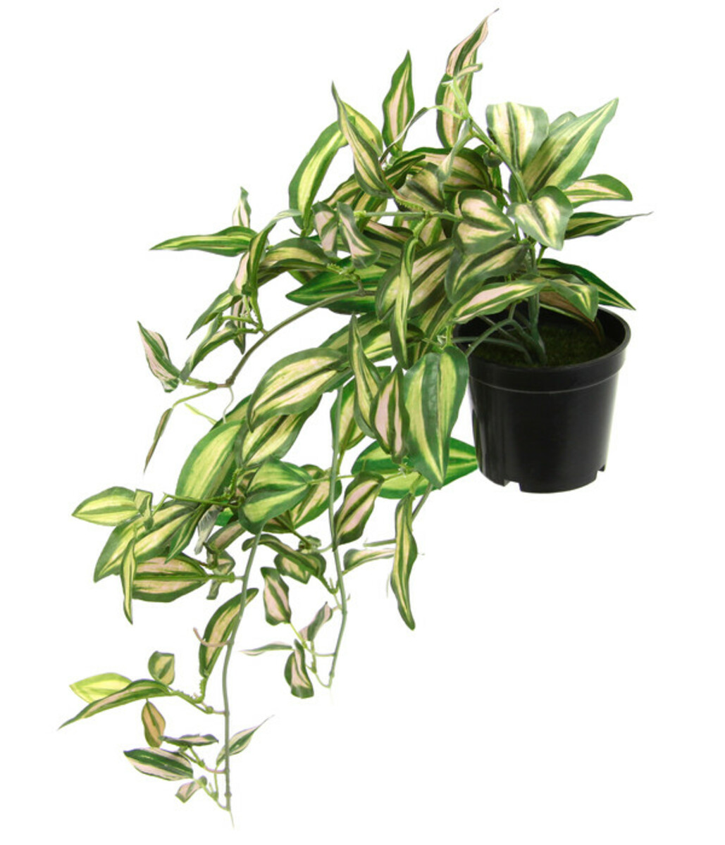 Bild 2 von I.GE.A Kunstpflanze Dreimasterblume Tradeskantia Zebrina im Kunststofftopf, ca. H23 cm