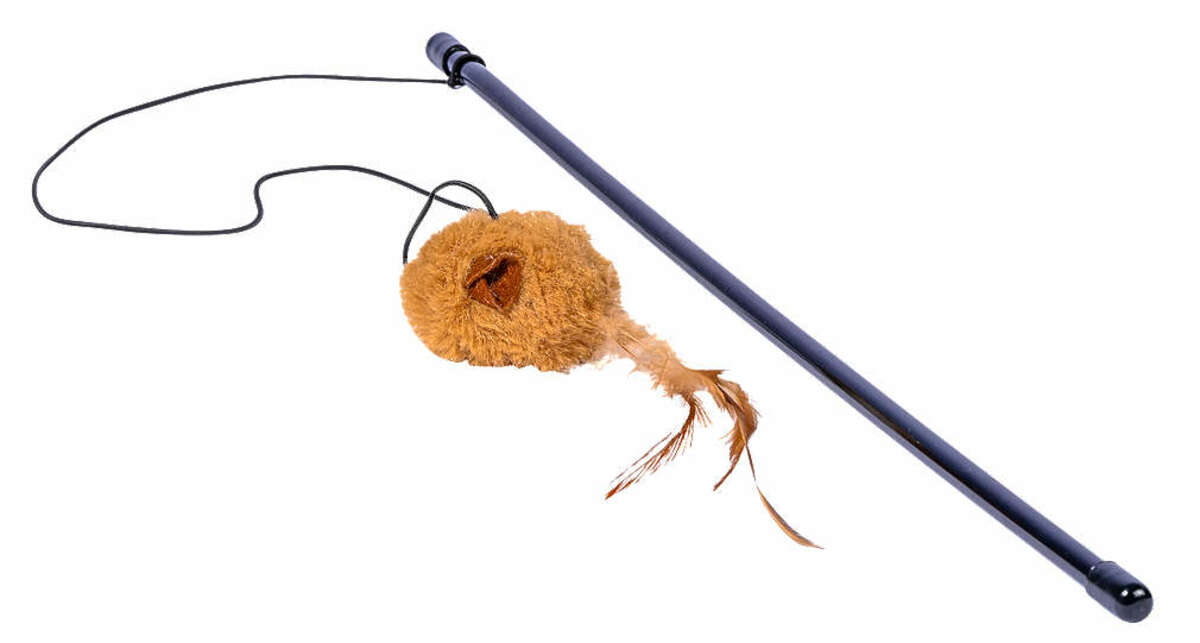 Bild 1 von Katzenspielangel mit Spielmaus