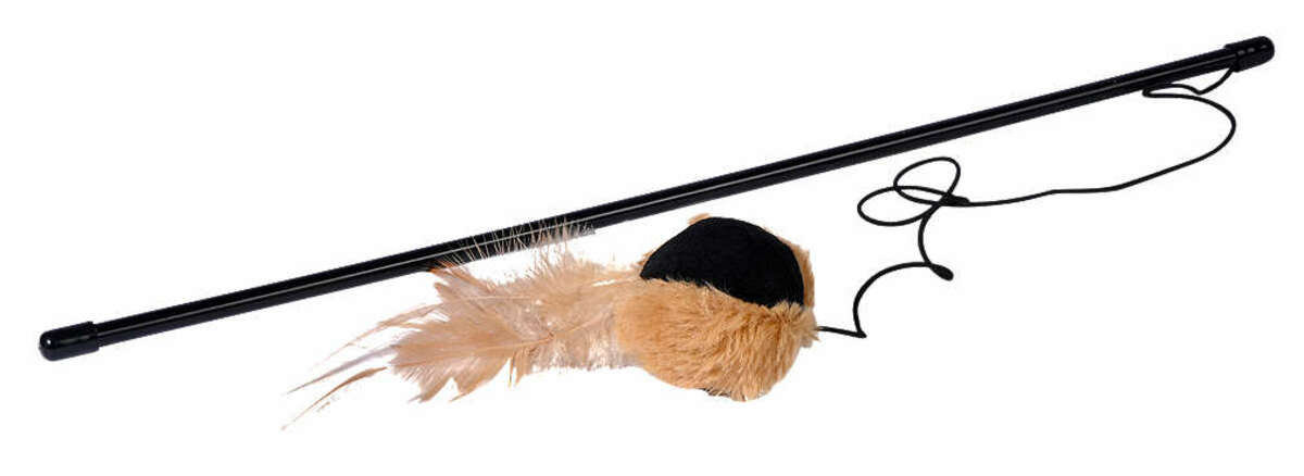 Bild 1 von Katzenspielangel mit Spielball