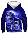 Bild 1 von ALISISTER Unisex 3D Hoodie Kinder Mädchen Jungen Lustig Gedruckt Kapuzenpullover Langarm Sweatshirt Alter 4-16