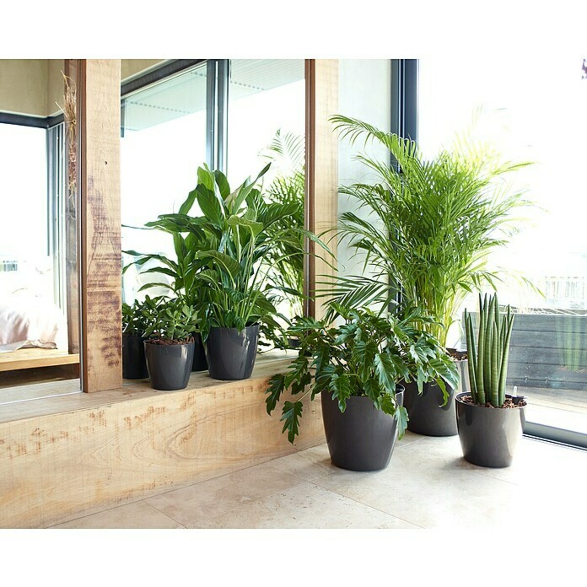 Bild 3 von Artevasi San Remo Übertopf rund