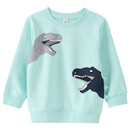 Bild 1 von Jungen Sweatshirt mit Dino-Prints