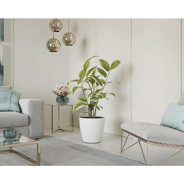 Bild 3 von Artevasi San Remo Übertopf rund